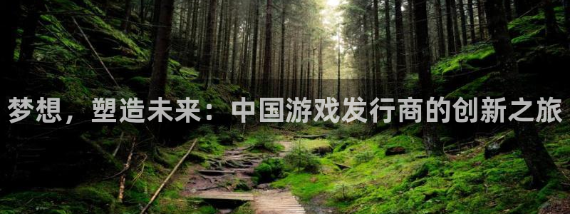 pp电子官网代理开号平台：梦想，塑造未来：中国游戏发行商的创新之旅