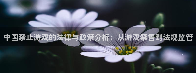 pp电子电子商务怎么样