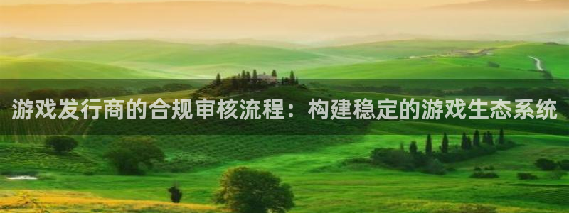 pp电子官网平台代理条件是什么