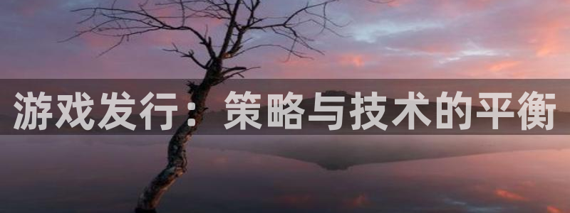 pp电子官网登录注册账号是什么意思：游戏发行：策略与技术的平衡