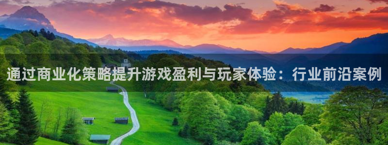 pp电子军团是哪个国家队：通过商业化策略提升游戏盈利与玩家体验：行业前沿案例