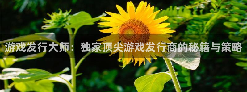 pp电子官网登录注册不了：游戏发行大师：独家顶尖游戏发行商的秘籍与策略