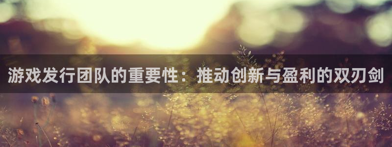 陕西pp电子子文化创意有限公司1：游戏发行团队的重要性：推动创新与盈利的双刃剑