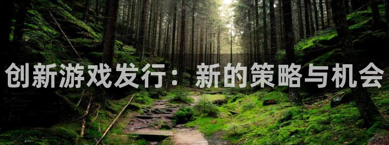 pp电子官网登录注册账号失败：创新游戏发行：新的策略与机会