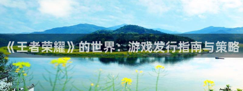 pp电子子代表什么意思