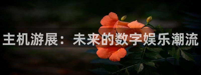 pp电子官网登录注册不了怎么办：主机游展：未来的数字娱乐潮流