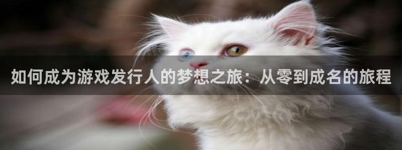 东莞pp电子信息科技有限公司