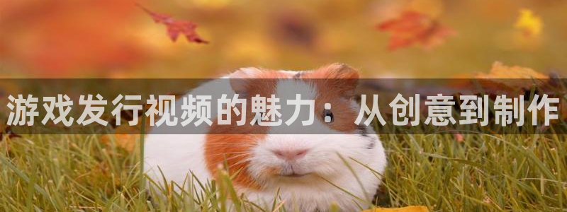 pp电子子书单