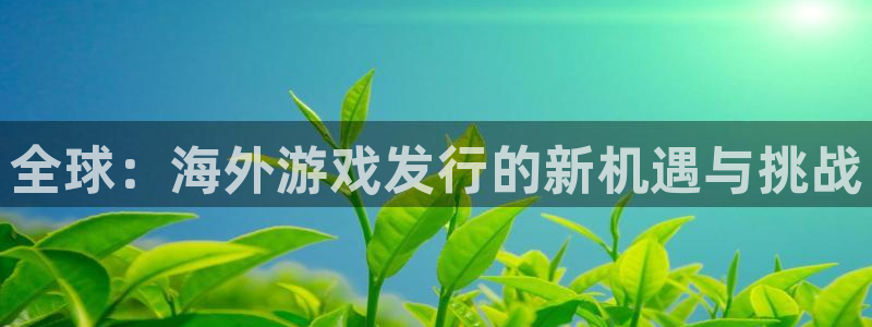 pp电子娱乐测速官网：全球：海外游戏发行的新机遇与挑战
