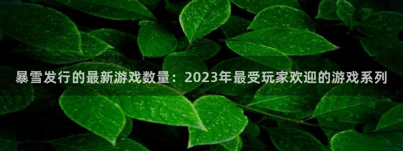法国pp电子lvnces是奢侈品吗