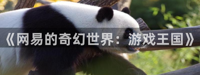 pp电子运动装有哪些品牌