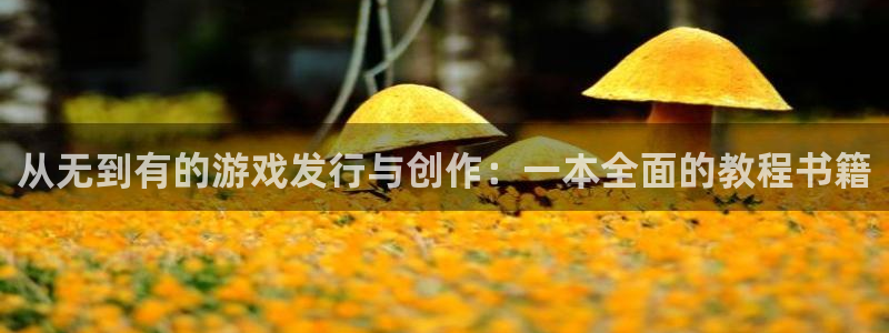 pp电子智得官网