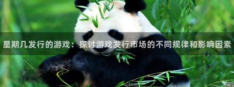 pp电子服装品牌