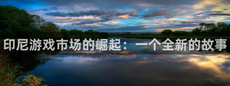 pp电子的所有小说