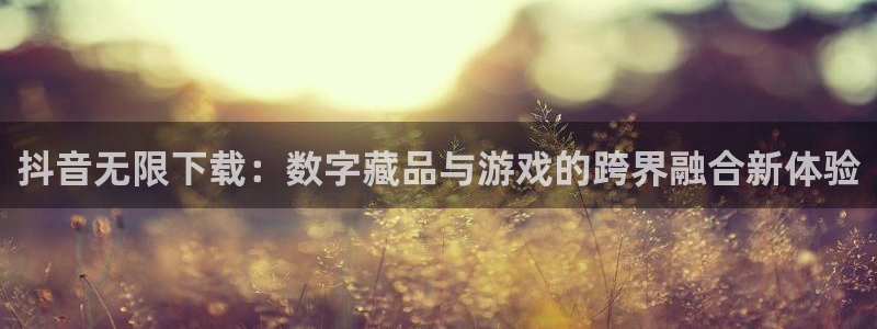 pp电子品牌设计：抖音无限下载：数字藏品与游戏的跨界融合新体验