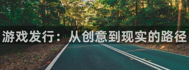 江苏pp电子：游戏发行：从创意到现实的路径