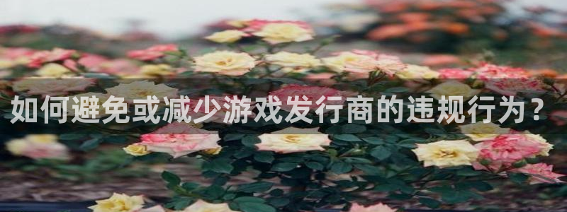 陕西pp电子子文化创意有限公司是做什么的